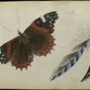 Anne Wagner album