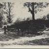 Postcard 8