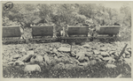 Post card 21