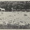 Post card 24