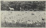 Post card 24