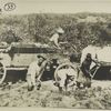 Post card 33