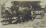 Post card 35