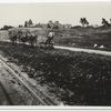 Repair of oiled dirt road. Fair Oaks St., So. Pasadena, Calif.  ...  (View no. 3)