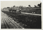 Repair of oiled dirt road. Fair Oaks St., So. Pasadena, Calif.  ...  (View no. 3)