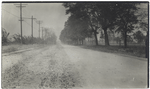 Another view of Massillon Navarre road.  Laid with Massillon Brick Co.'s 4 inch repressed paving brick in 1913, by A. F. Wendling of Massillon Ohio. ......  (no. 14)