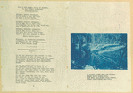 Just a few simple words of comfort, to our fellow sufferers from quarantine;  The greatest of all--Porto Velho [poems].