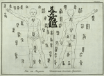 Two chemes shewing, what parts of the human body are to be burnt with the Moxa in several distempers.