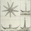 Fig. 1. Star-fish;  Fig. 2-4. Boats.