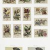 Christmas cards, New Year cards, Druggist's card for Dr. J.H. Schenck & Sons