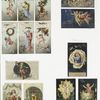 Christmas and New Year cards depicting cherubs and angels. 