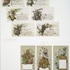 Christmas cards with flowers, psalms and biblical scenes.