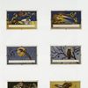 Calendar depicting insects, animals, pumpkins