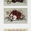Valentines and birthday cards depicting flowers, birds, and clovers.