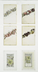Valentines depicting flowers and clovers.