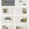 Galaxy Album : especially adapted for autographs and sketches album cards depicting birds and landscapes