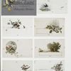 Galaxy Album especially adapted for autographs and sketches album cards depicting birds, bees, chipmunks, and landscapes