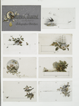 Galaxy Album especially adapted for autographs and sketches album cards depicting birds, bees, chipmunks, and landscapes