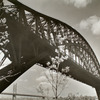 Hell Gate Bridge: I, Central Steel Arch over East River looking toward west from Astoria Park, Queens