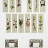 Cards with botanical illustrations and Asian scenes.