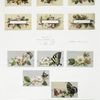 Birthday, New Year and text cards depicting flowers, butterflies, bees, berries and fall foliage.