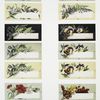Birthday cards depicting flowers and fall foliage, in an assortment of colors.