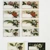 Birthday and business cards depicting flowers and berries in an assortment of colors.