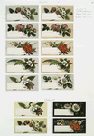 Birthday and business cards depicting flowers and berries in an assortment of colors.