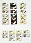 Christmas and New Year cards depicting flowers in an assortment of colors.