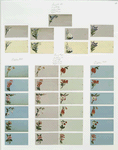 Birthday, Christmas and New Year cards depicting flowers.