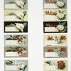 Birthday and Christmas cards depicting flowers in an assortment of colors.