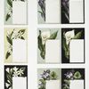 Cards depicting flowers.