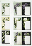 Cards depicting flowers.
