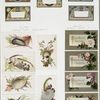 Birthday cards depicting flowers, seashells, and human figures.