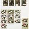 Christmas and New Year cards depicting ceramics, fruit, flowers, and ribbon.