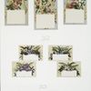 Christmas and New Year cards depicting flowers, butterflies and ribbon.