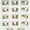 Valentines, Christmas, and New Year cards depicting hearts , flowers, and holly.