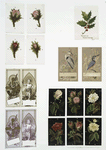 Christmas cards depicting holly, birds, flowers, crosses, and angels.