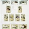 Birthday, New Year, Christmas and text cards depicting flowers, plants, ladybugs, eggs, nests, bees and birch bark.