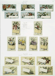 Birthday, New Year, Christmas and text cards depicting flowers, plants, ladybugs, eggs, nests, bees and birch bark.