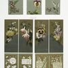 Birthday cards with decorative ornamentation, depicting flowers and blueberries.