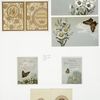 Easter cards with decorative ornamentation, depicting flowers, butterflies and eggs.