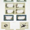 Birthday cards and New Year callings with flower borders, depicting feathers and eggs.