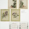 Birthday and Valentine cards depicting flowers, angels and butterflies.