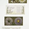 [Birthday cards with decorative borders, depicting flowers, lily pads, clovers and the harvest.]