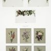 Cards depicting flowers.
