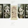 Easter cards with ornamental designs and flowers.
