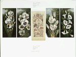 Easter cards with ornamental designs and flowers.