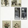 Christmas cards depicting elephants, owls, flowers, winter scenes and the moon.