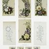 Birthday, Christmas and New Year cards with botanical illustrations.